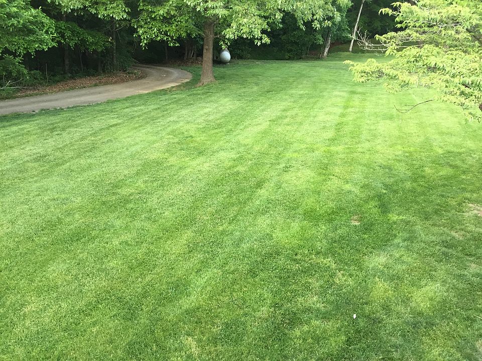 2nd image of 1009 Cherry Springs Dr