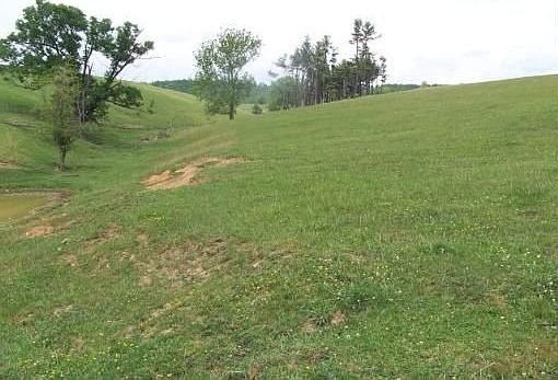 4th image of 1579 Trails End Dr