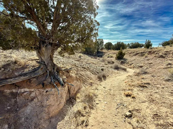 5 Cedar Vista Ct, Algodones, NM 87001