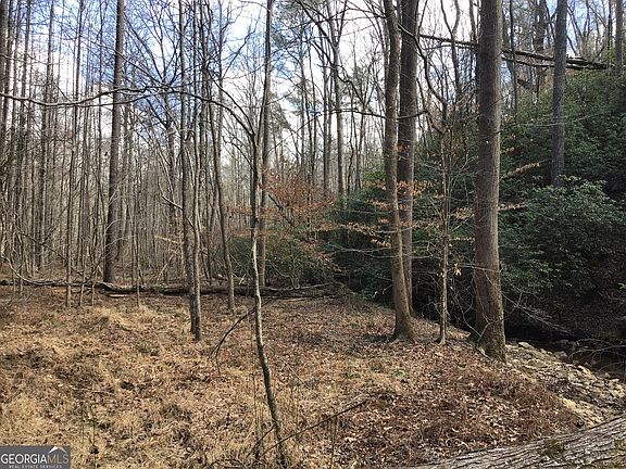 5th image of 0 Johnson Mountain Rd #7402