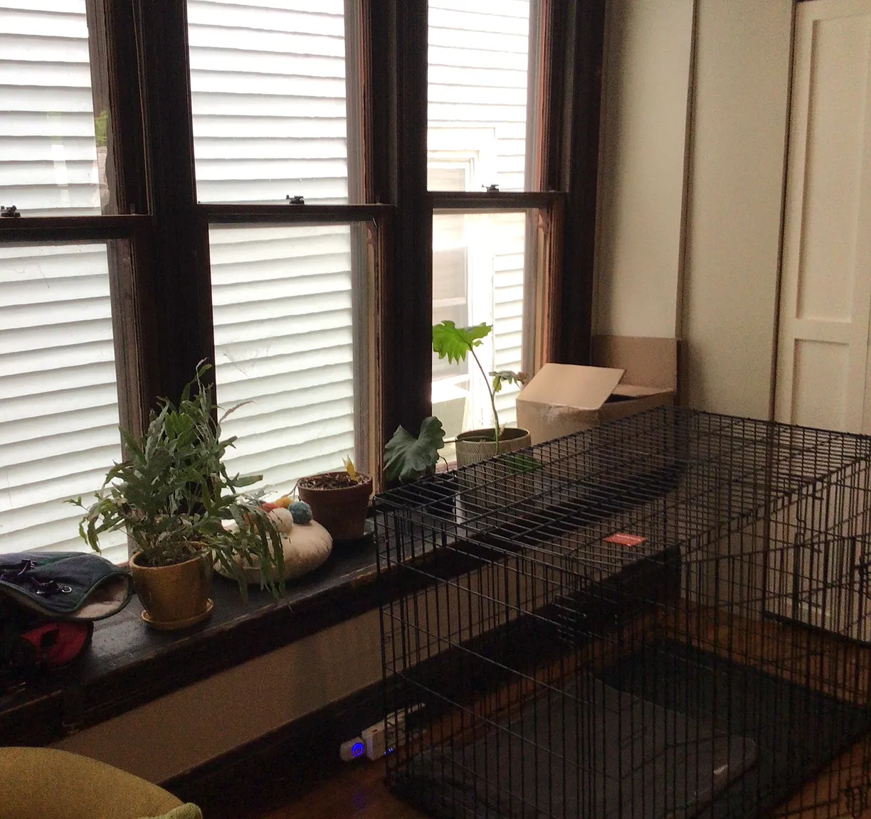 1 bed, 900 sqft, $2,100 — Photo 1