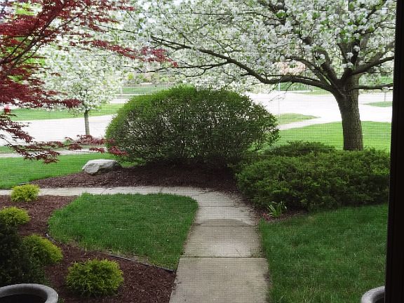 View from patio 