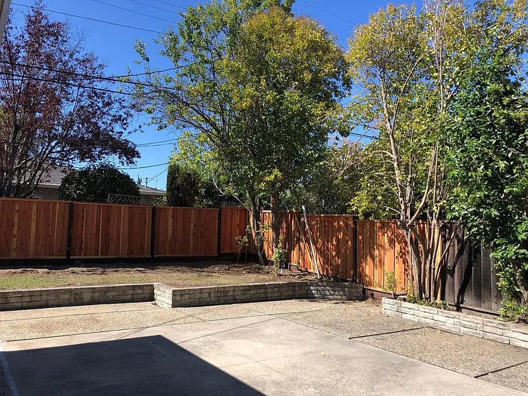Backyard 1
