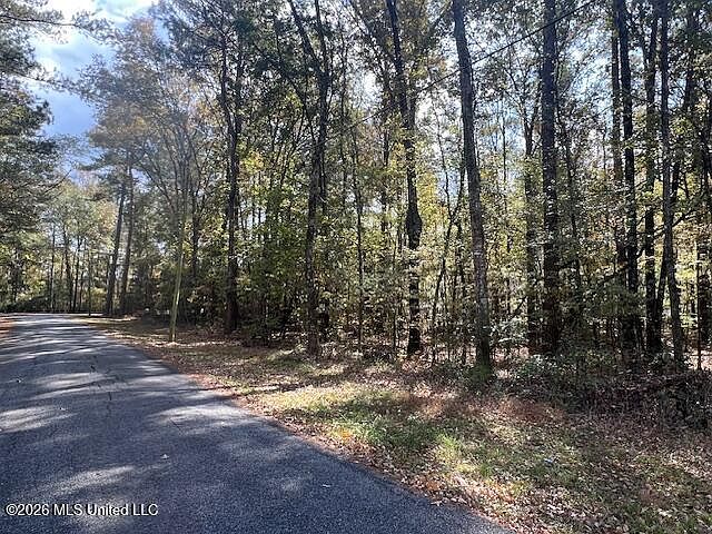 1st image of 0 Pelahatchie Rd