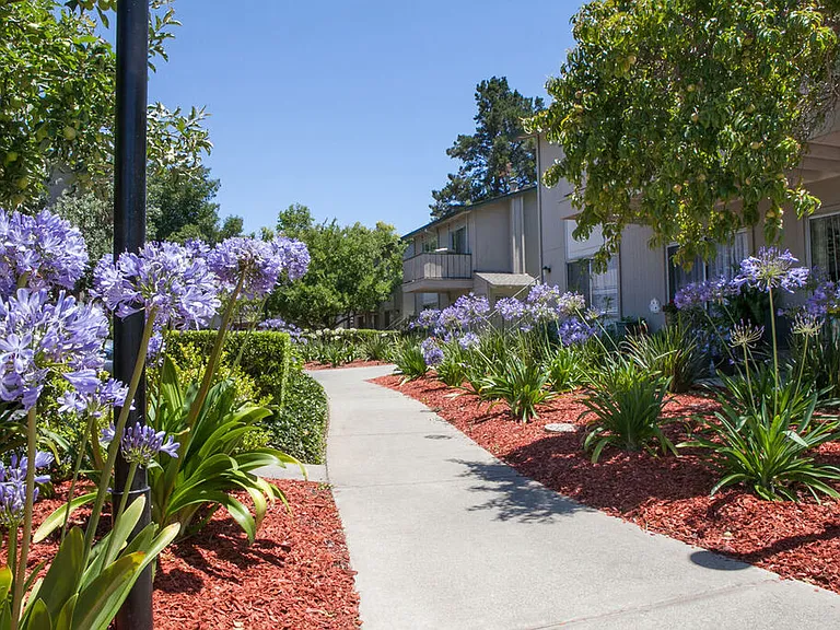 Campbell West Apartments — Photo 7