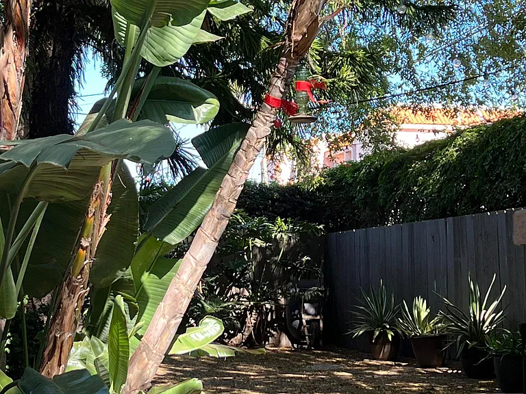 View of side yard from front gate