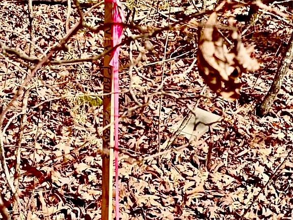 3rd image of 2682 Atchley Rd Lot 1