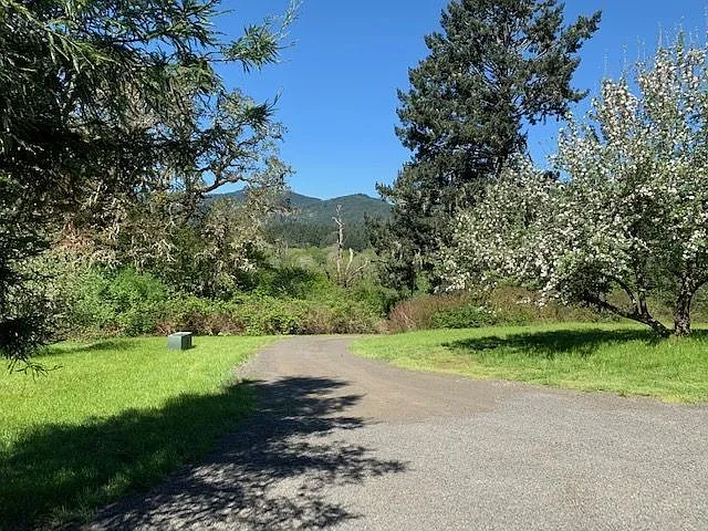 37997 Soap Creek Rd — Photo 22
