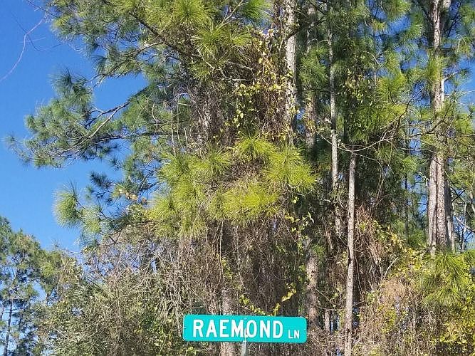 2nd image of 8 Raemond Ln