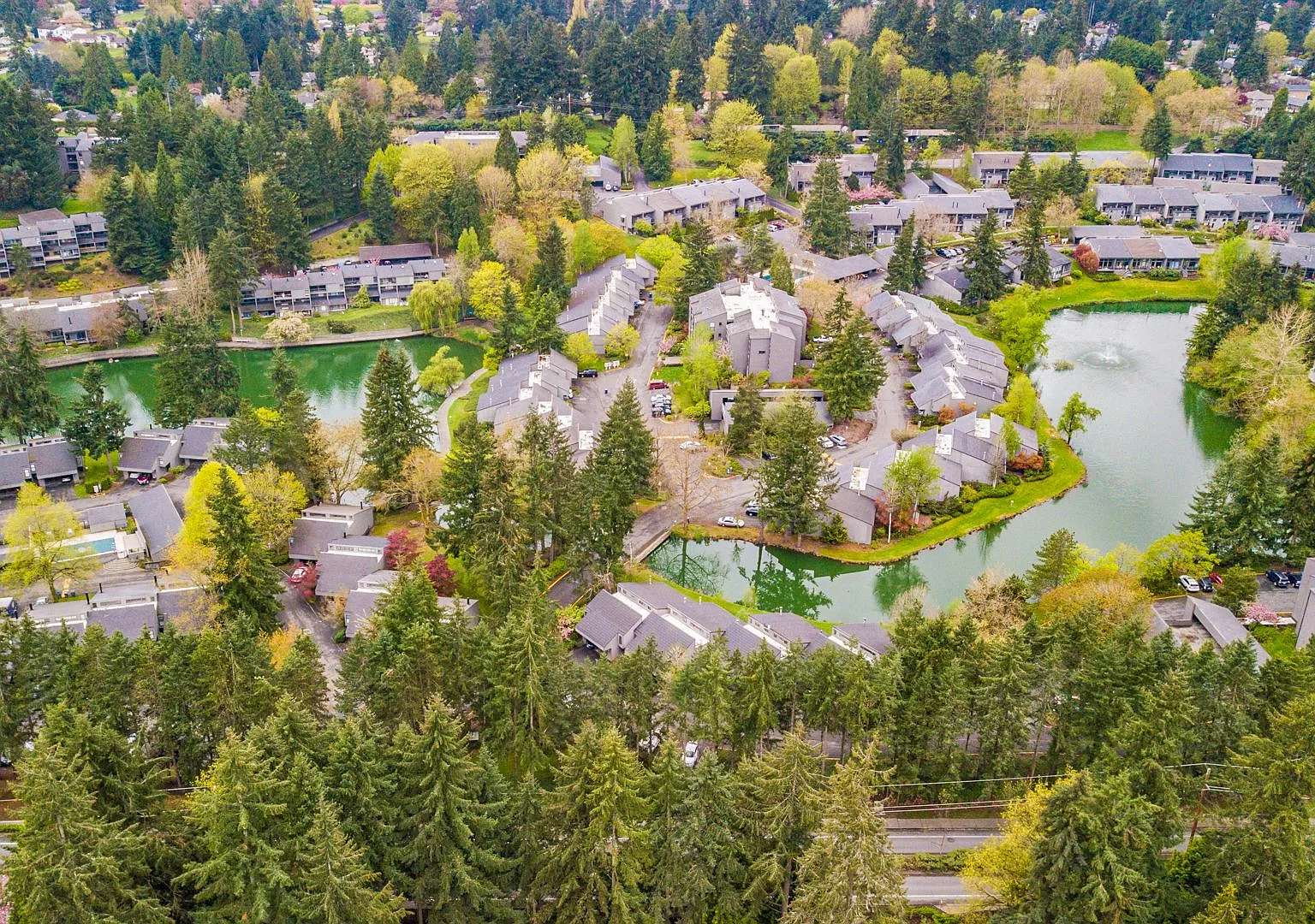 Serene Lake Views & Spacious Top-Floor Living Near Microsoft & Google — Photo 2