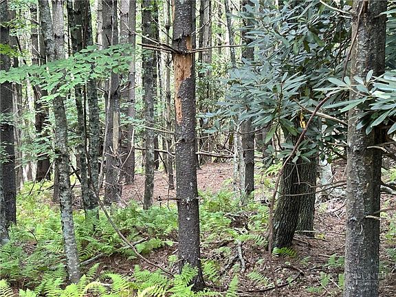 3rd image of TBD/Lot 48 Woodland Valley Road