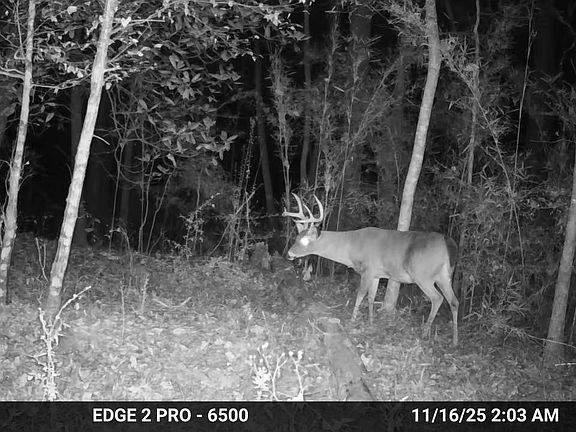 2nd image of 272 Highway 35