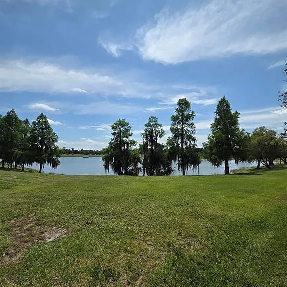 2310 Palm Tree Dr — Photo 59