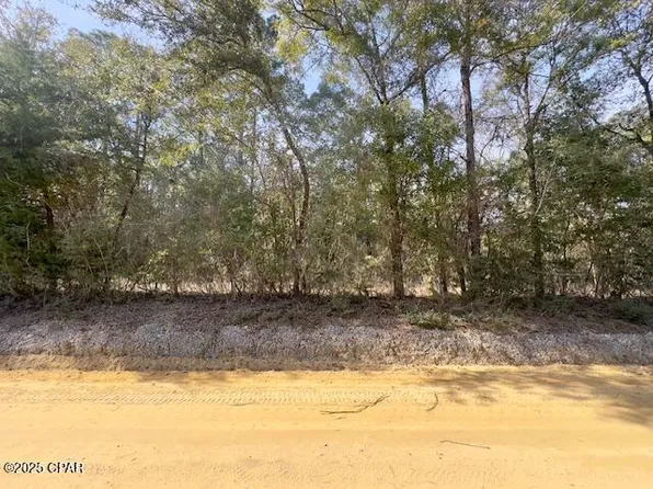 Bryant Bay Rd, Caryville, FL 32427