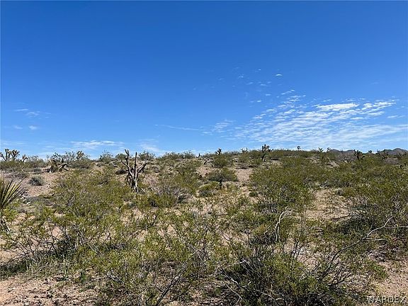 4th image of 8929 W White Hills Road