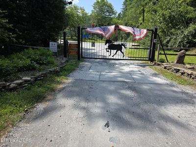 Waters End Rd, Walland, TN, 37886