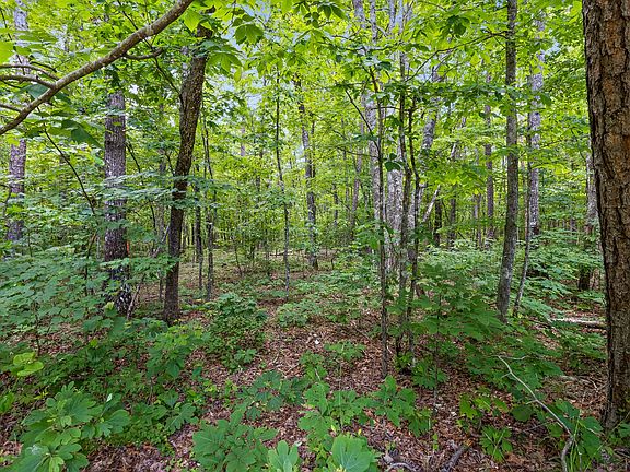 3rd image of 0 Horseshoe Bend Rd Lot 12