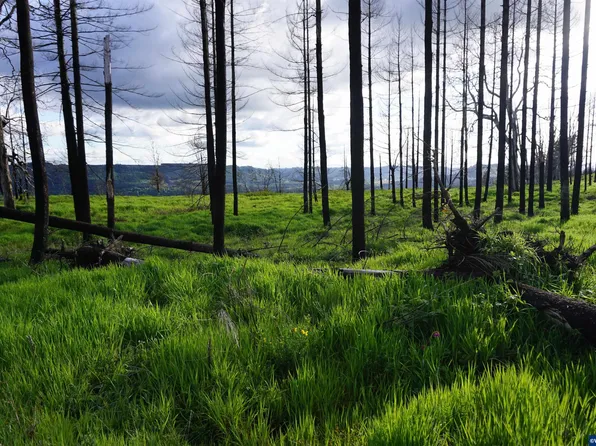 900 Wagner Rd SE, Lyons, OR 97358
