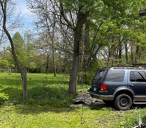 Yard behind fenced area