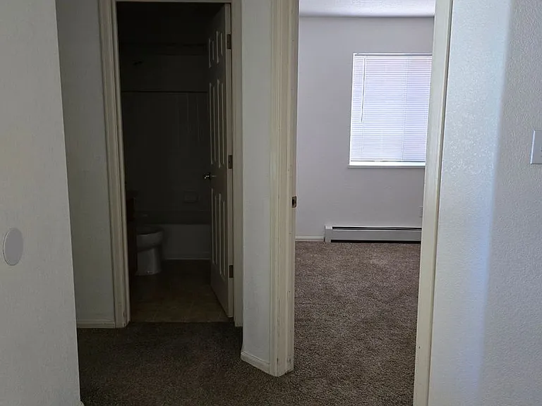 3153 E Merganser Ln — Photo 3
