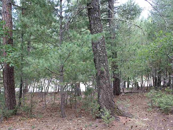 3rd image of 107 Wildwood