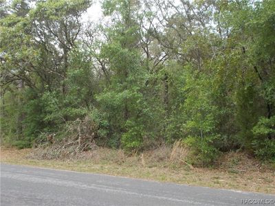 8 S Easy St, Lecanto, FL, 34461