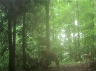 2283 Prentisvale Rd, Eldred, PA 16731