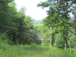 1633 Norway Rd, Lowman, NY 14861