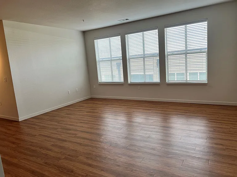 Large Living room
