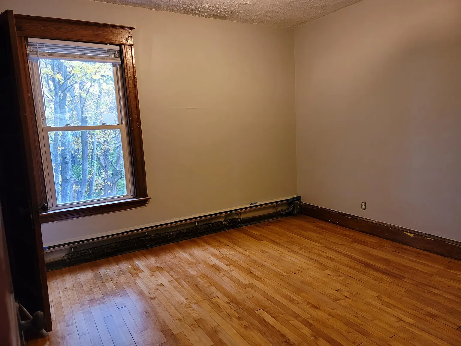 3 bed, $1,800 — Photo 3