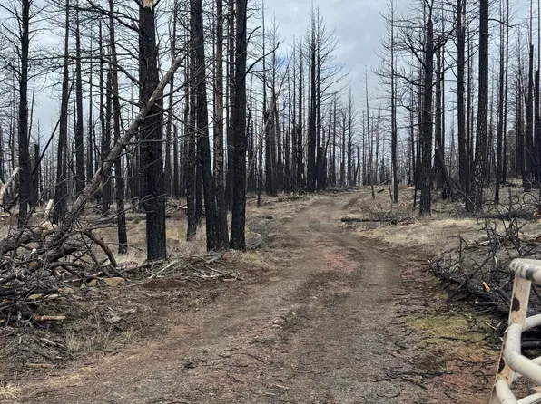 1100 Yellow Pine Rd, Bly, OR 97622