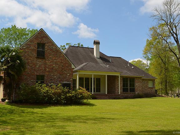 Back yard of 2 acre lot