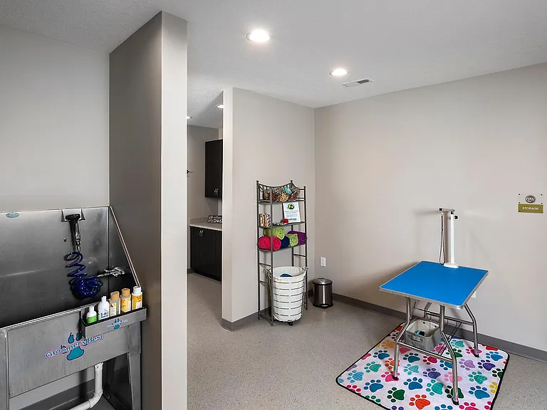 Pet Spa