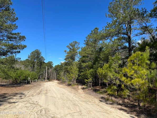 Tbd Cliff Gibson Road, Laurel Hill, NC 28351