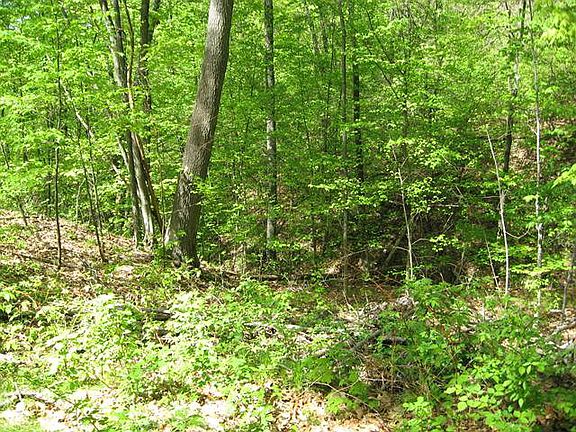 3rd image of 11708 State Route 54