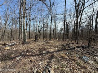 69 E Log Rd, Spring City, TN 37381