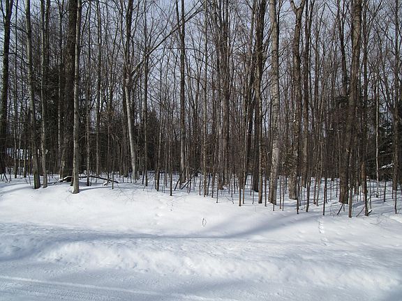 3rd image of 11190 Hassler Woods Trl