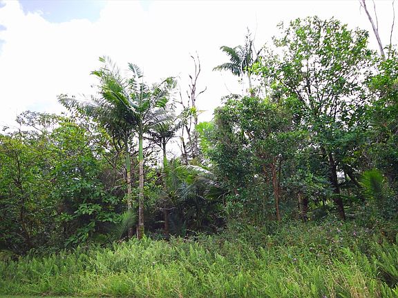 2nd image of Kumukahi St