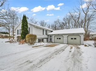 55 Park Rd, Painesville, OH 44077