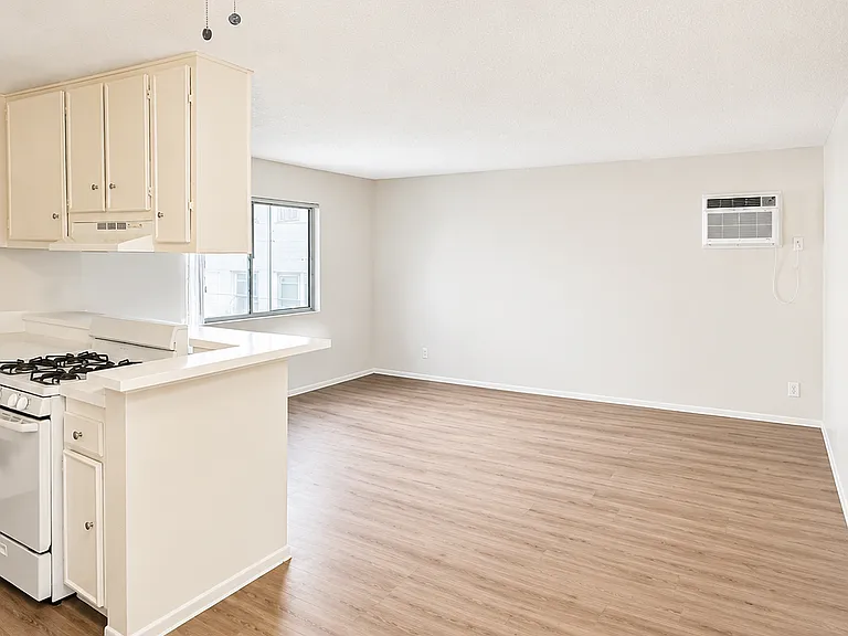 509 N Berendo St #110 — Photo 1