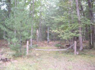 8772 N Squaw Lake Rd, Irons, MI 49644