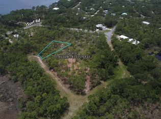 Xx Tarpine Dr, Panacea, FL 32346