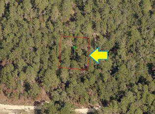 2711 Hillery St, Inverness, FL 34452