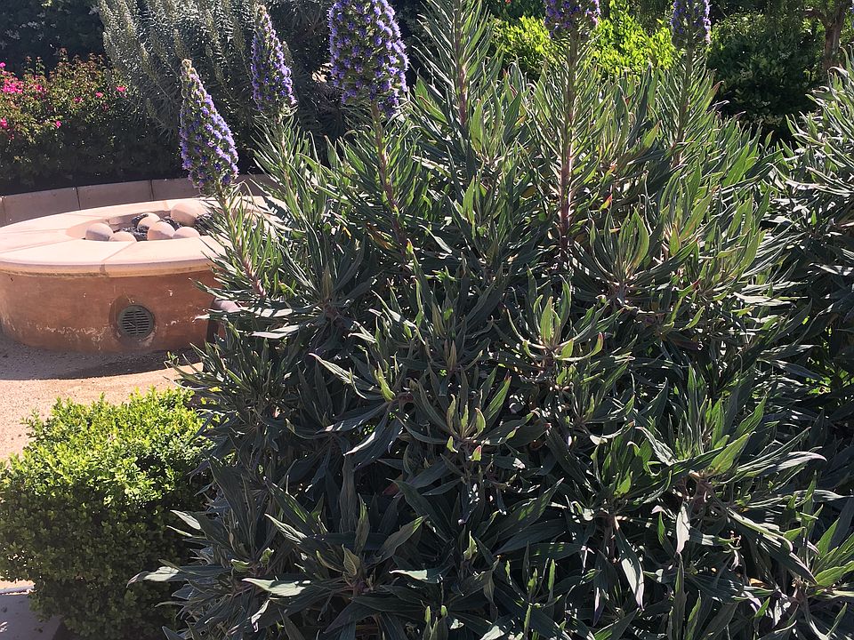 22931 Sonriente Trl, Coto De Caza, CA 92679 Zillow