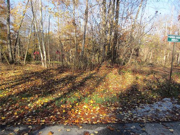 4th image of 4390 Tulip Dr