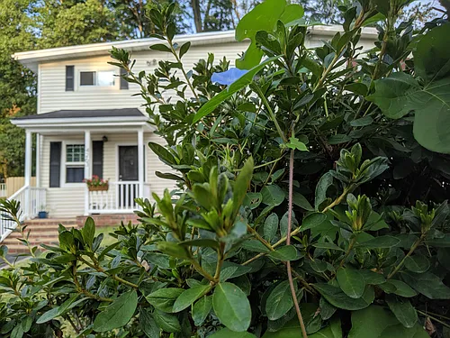4263 Allison Cir Photo 1