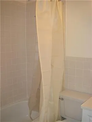 Rented by Luxury Property Group | media 3