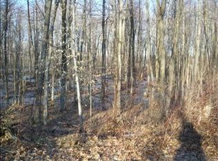 11187 S Fenmore Rd, Brant, MI 48614