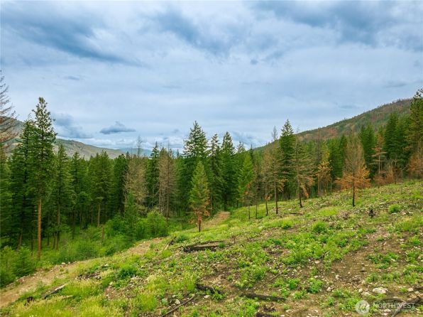 0 Wolf Creek Road, Mazama, WA 98833