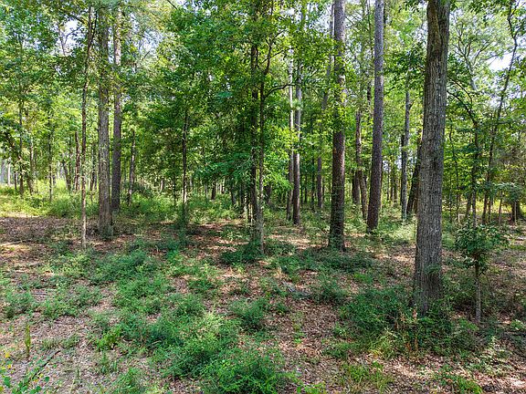 4th image of Pid 14756 Tall Pines Dr